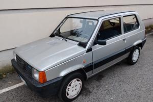 fiat panda college