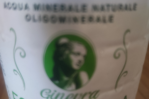 Coppia pensionati reddito dimostrabile 3272167769