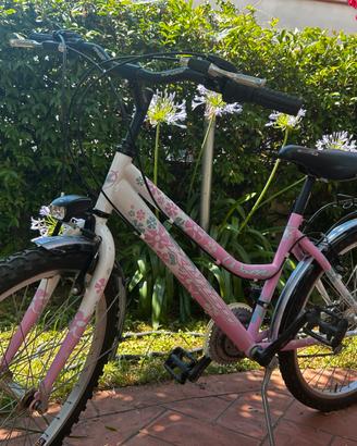 Bicicletta mountainbike