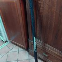 Canna da pesca bolognese