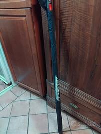 Canna da pesca bolognese