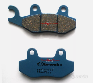 Pastiglie Posteriore BREMBO C.C. PER TRIUMPH
