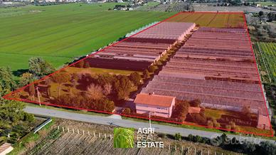 Proprietà agricola di 7,5 HA con Location Eventi