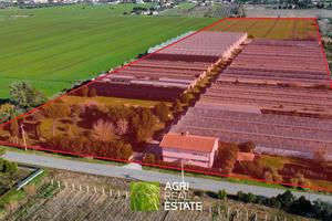 Proprietà agricola di 7,5 HA con Location Eventi