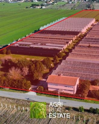 Proprietà agricola di 7,5 HA con Location Eventi