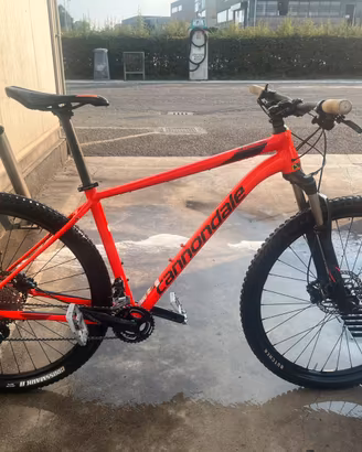 Bici MTB cannodale