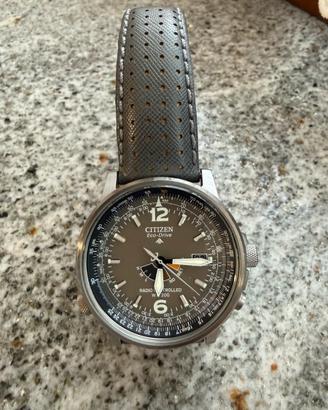 Citizen Promaster Eco-Drive Radiocontrollato