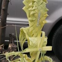 Palme intrecciate