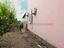 Immagine 23