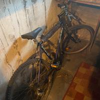 Bici Mountain Bike