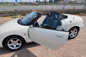 mg f vvc