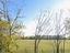 Immagine 15