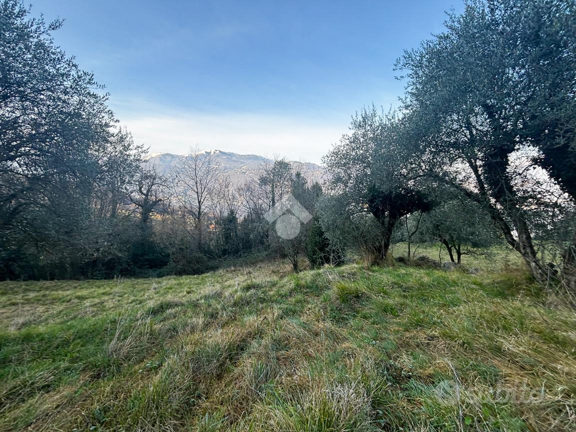 TER. AGRICOLO A LIERNA - Altro