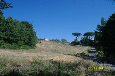 Terreno Agricolo, zona Quercigliole - Ripalimosani