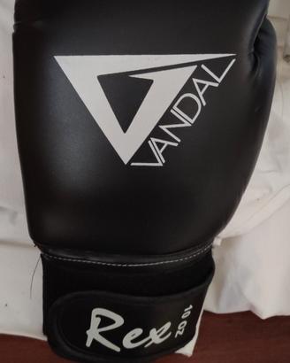 Guantoni boxe