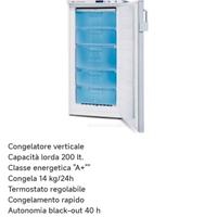 congelatore verticale 