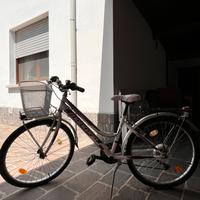 Bicicletta citybike