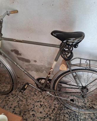 bicicletta