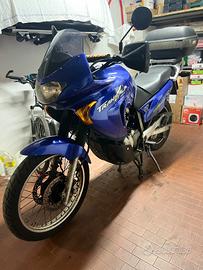 Honda xl Transalp 650 V