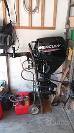 Motore mercury 15 cv anno 2022