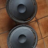 Peerless kdh 120 n4 coppia di woofer da sistemare.