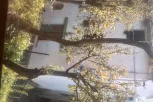 Casa con giardino
