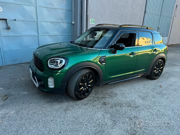 Minicountryman northwood