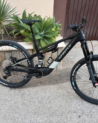 Whistle axr 8.6 avinox M2s