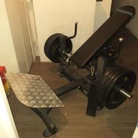 FWX-440 Hip thrust toorx