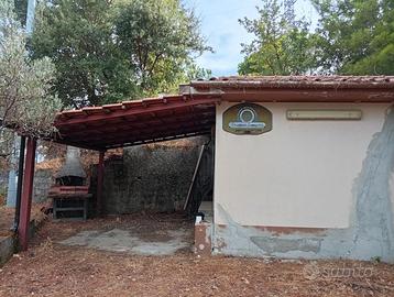 Terreno con ulivi e costruzione in muratura