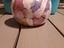 Immagine 1