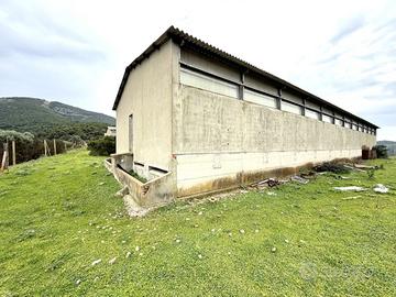 Capannone Industriale Dolianova