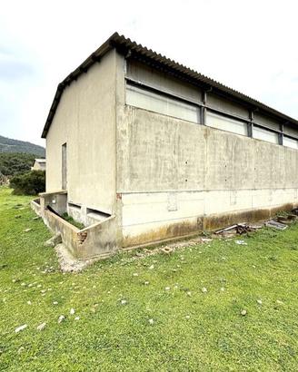Capannone Industriale Dolianova