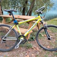 Bicicletta Mountain bike da "26"