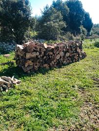 legna da ardere (leccio)