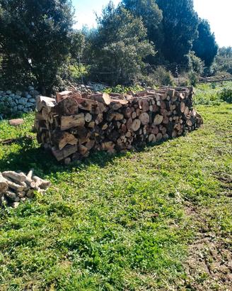 legna da ardere (leccio)