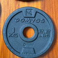 Dischi in ghisa Domyos 28 mm