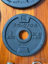 Dischi in ghisa Domyos 28 mm