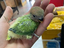 Immagine 1