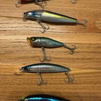 Lotto esche artificiali Spigola vari marchi