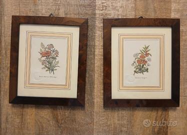 stampe fiori in cornici di radica