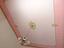 Immagine 13