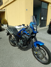 Yamaha teneré XT660Z 2009