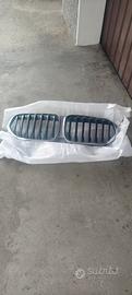Mascherina anteriore BMW X1 F48 
