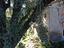 Immagine 11