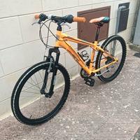 bici lombardo 