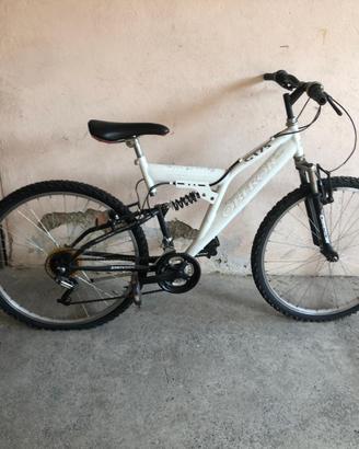 Bicicletta MTB
