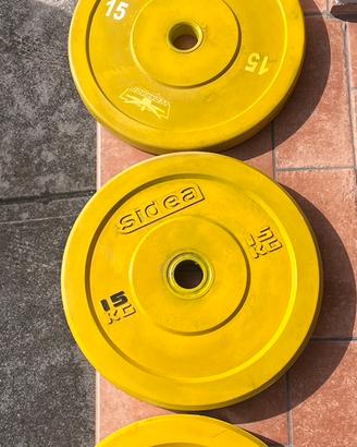 Dischi bumper 15 kg