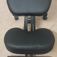 sedia ergonomica 