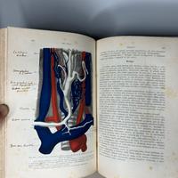 Libro antico medico